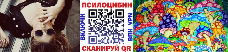 Псилоцибиновые грибы Psilocybe  Лахденпохья 