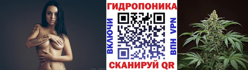 купить цена Лахденпохья darknet телеграм Конопля план